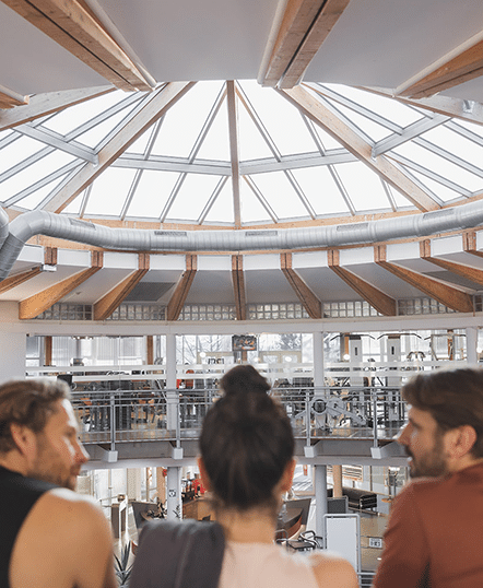 Besucher betrachten das beeindruckende Glasdach und die Holzbalkenkonstruktion im Inneren der Therme Wien Fitness, die eine helle und offene Atmosphaere schaffen.